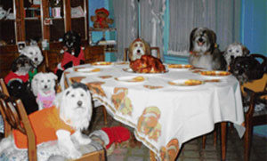 Thanksgiving 1989